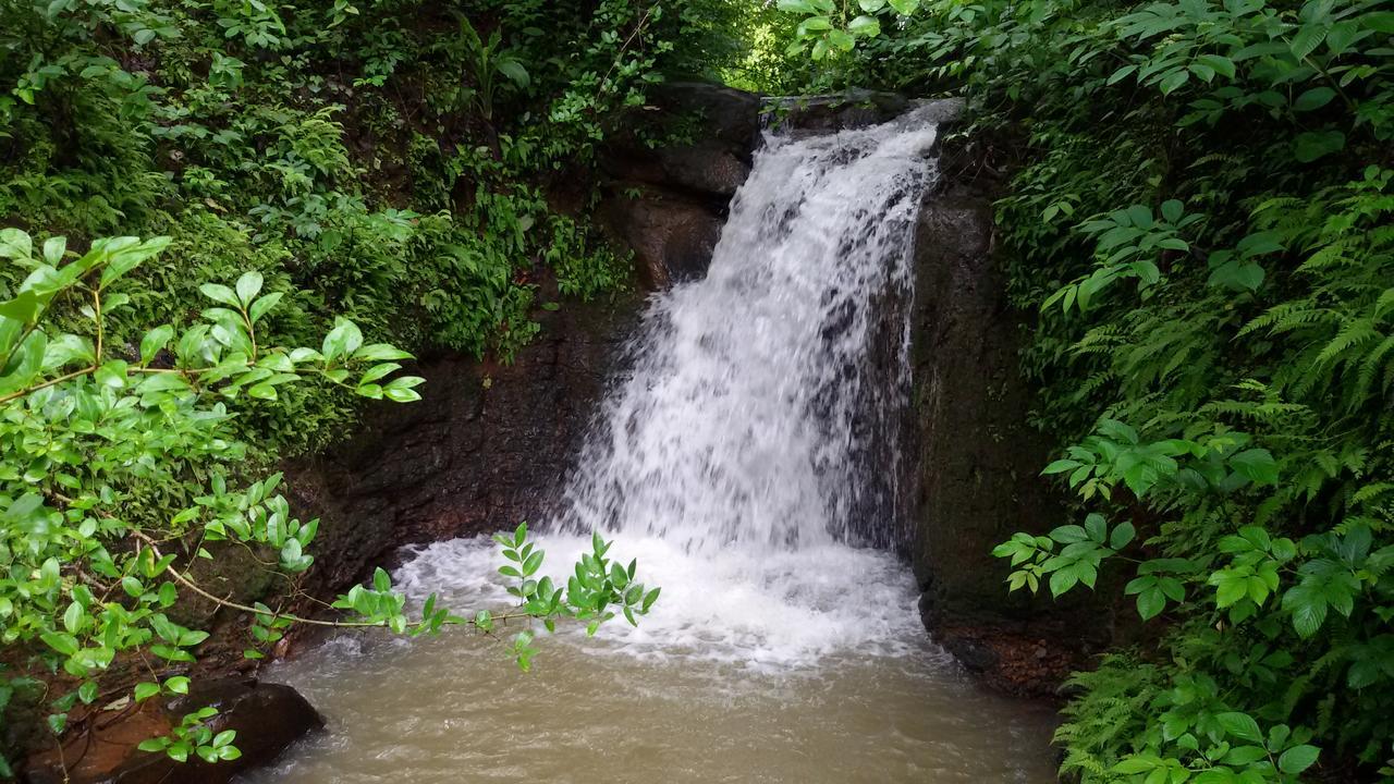 Cherilyn Monta Resort - Ratnagiri Vatul Eksteriør billede